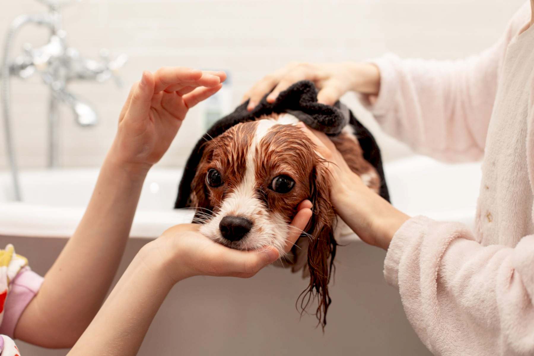 Housekeeping Services Vancouver for busy family and pet-friendly homes